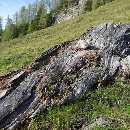 Haus Traudi Раурис