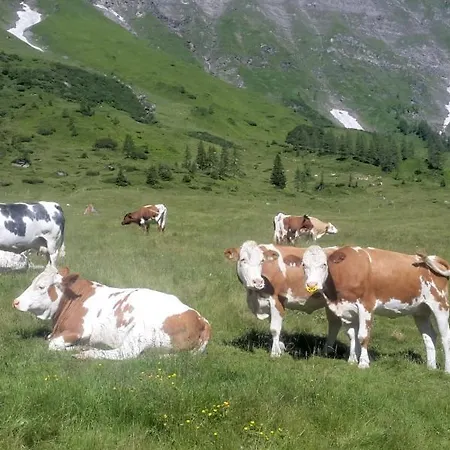Haus Traudi