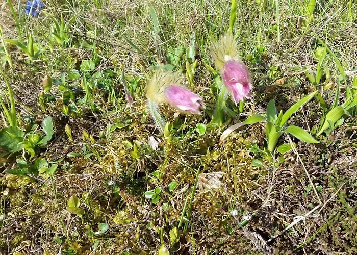 Apartmán Haus Traudi *