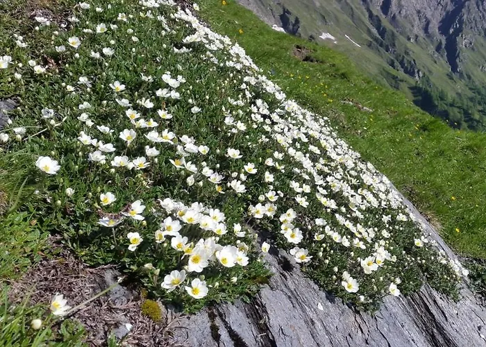 Apartmán Haus Traudi *